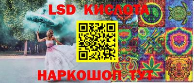 mdpv Новодвинск