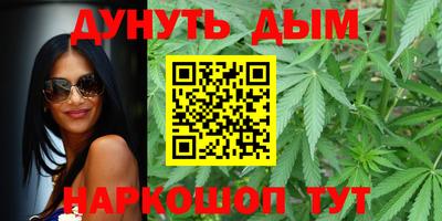 mdpv Новодвинск