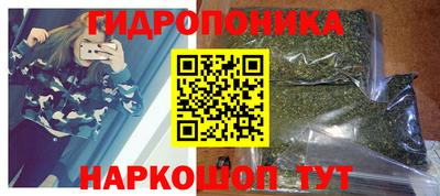 mdpv Новодвинск