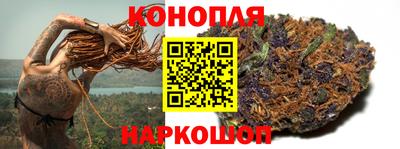 амф Новозыбков