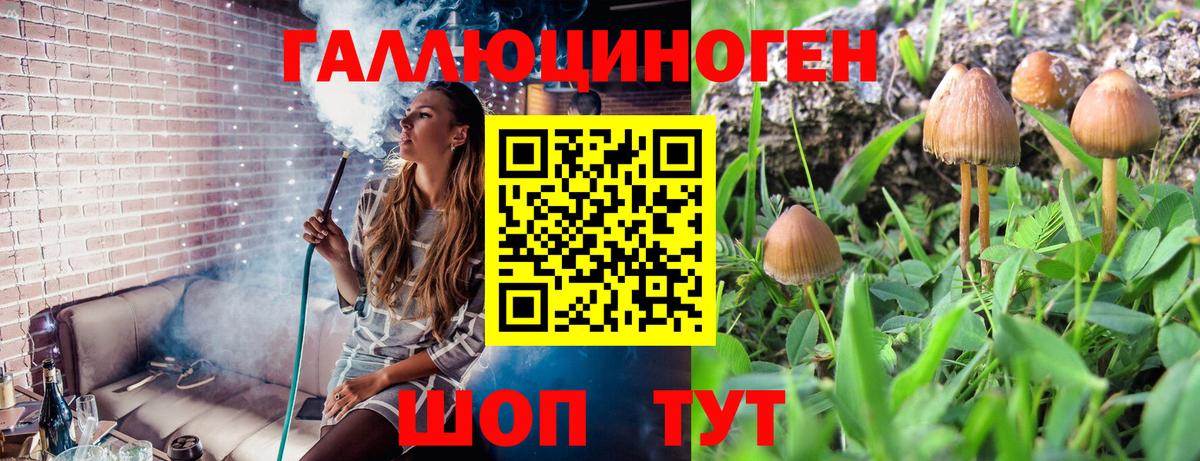 Псилоцибиновые грибы мицелий Рязань