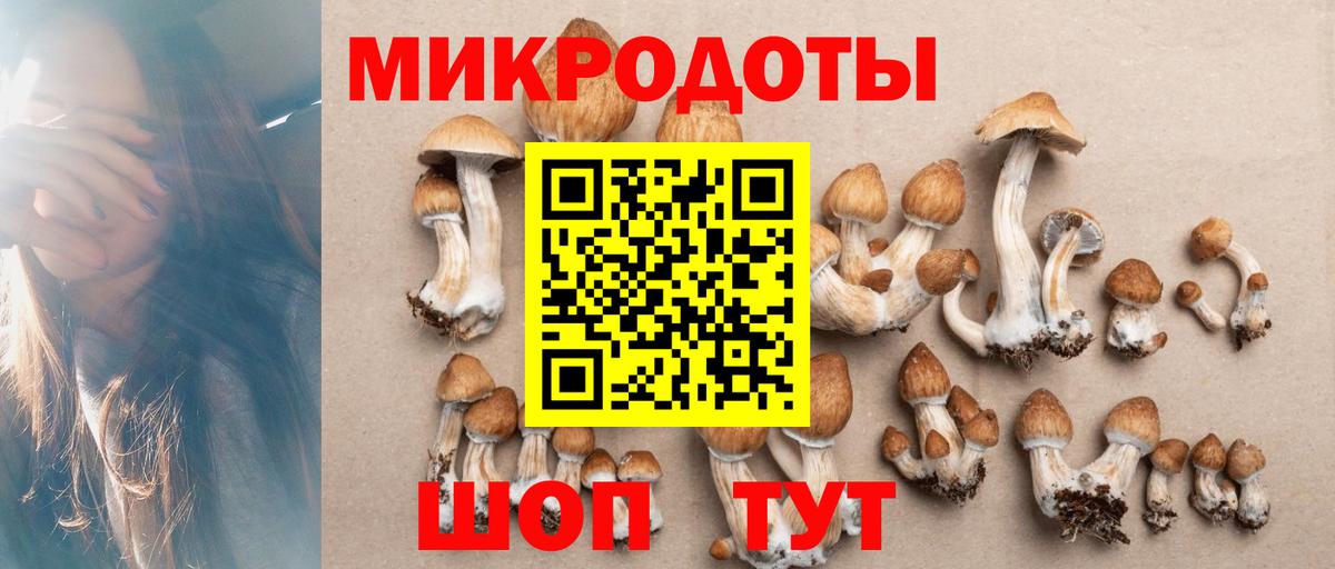 Рязань  Псилоцибиновые грибы Cubensis  Вход с VPN 